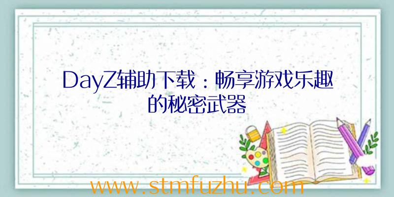 DayZ辅助下载：畅享游戏乐趣的秘密武器