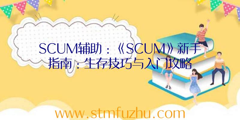 SCUM辅助：《SCUM》新手指南：生存技巧与入门攻略