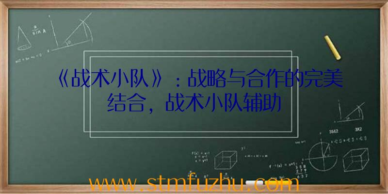 《战术小队》：战略与合作的完美结合，战术小队辅助