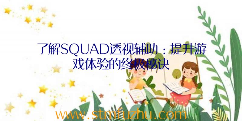 了解SQUAD透视辅助：提升游戏体验的终极秘诀