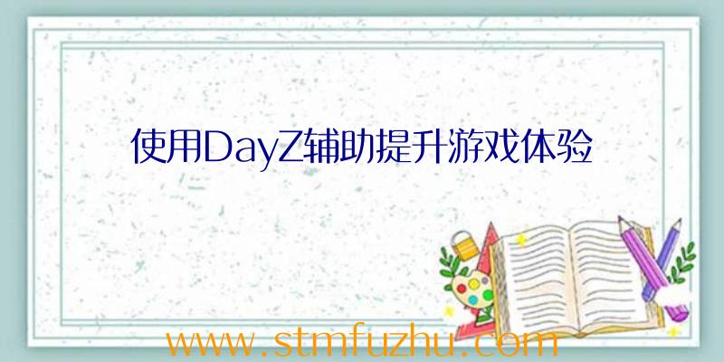 使用DayZ辅助提升游戏体验