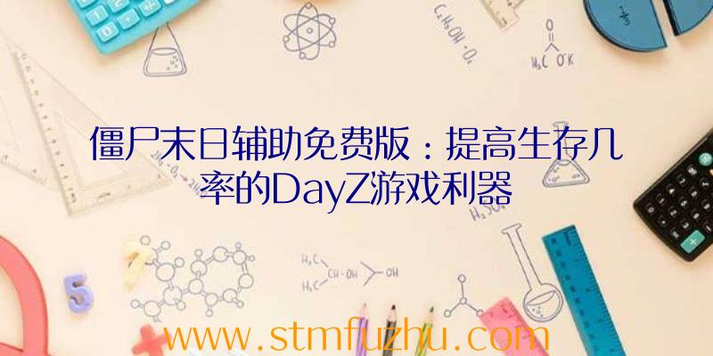 僵尸末日辅助免费版：提高生存几率的DayZ游戏利器