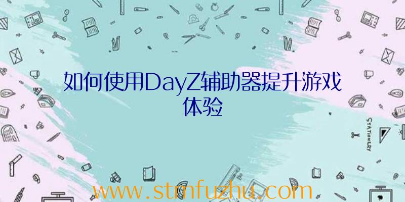 如何使用DayZ辅助器提升游戏体验