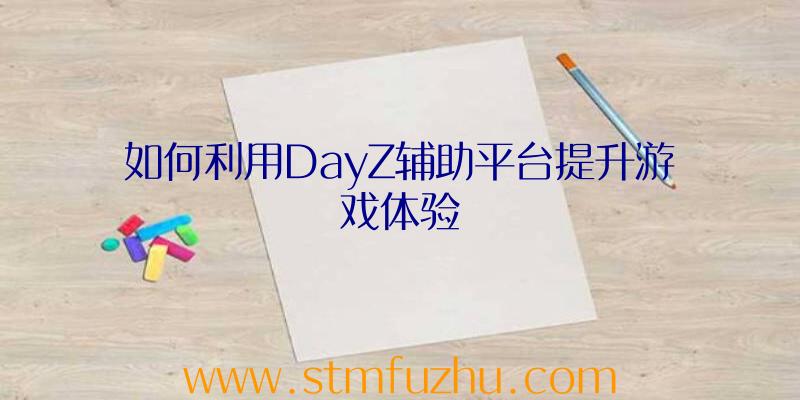 如何利用DayZ辅助平台提升游戏体验