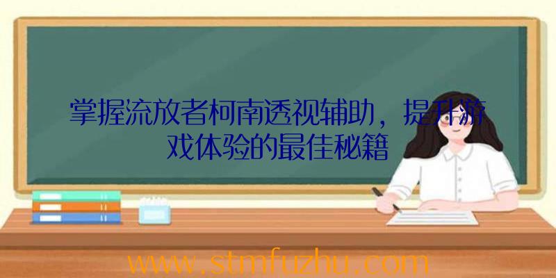 掌握流放者柯南透视辅助，提升游戏体验的最佳秘籍