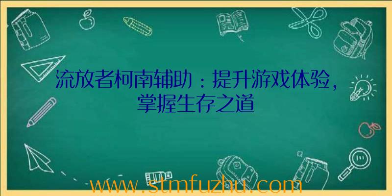 流放者柯南辅助：提升游戏体验，掌握生存之道