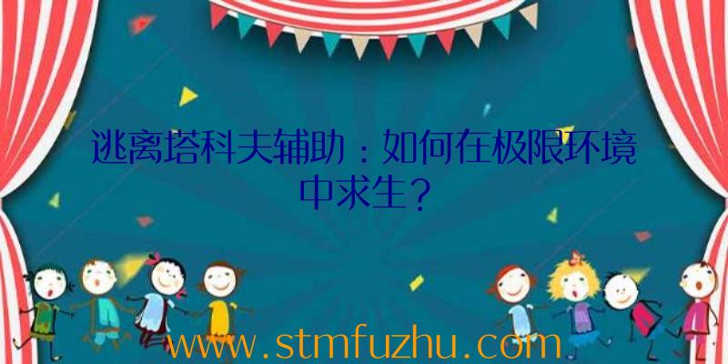 逃离塔科夫辅助：如何在极限环境中求生？